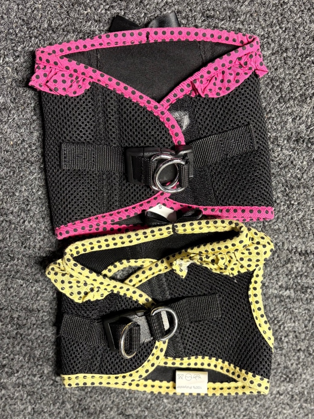 Size small dog - Picture 2 of 2